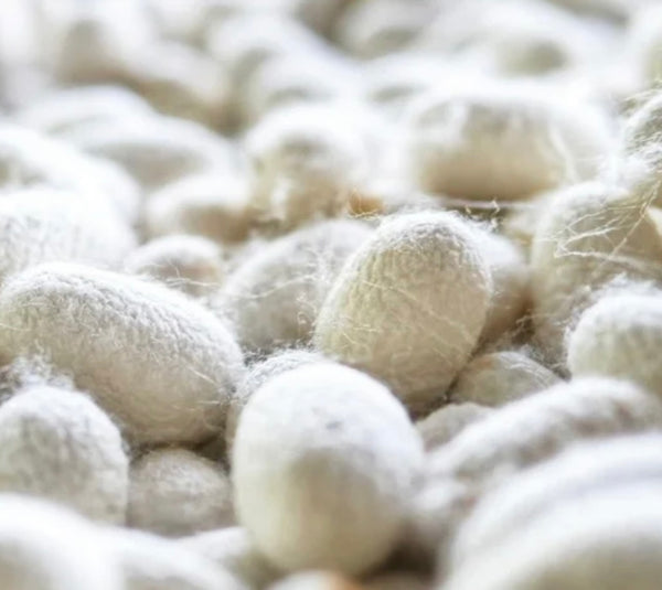 SILK Shampoo Cream Signature Collection ***** Shampoing Crème aux protéines de soie